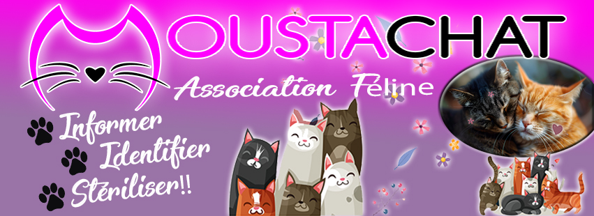 banner fb goupe moustachat 1