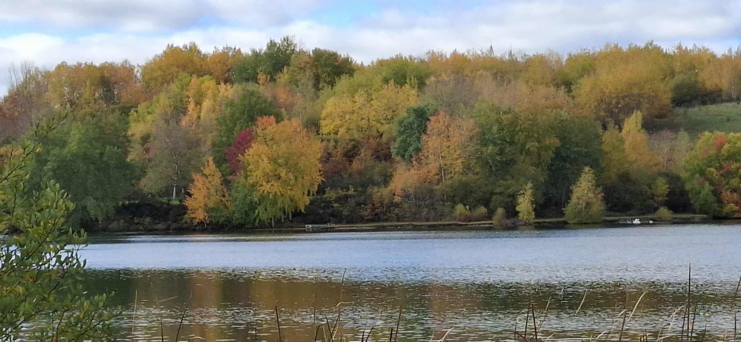 d52d364f-9c69-4d5b-a340-23d4b593cc73