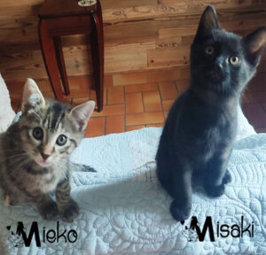 Mieko et Misaki
